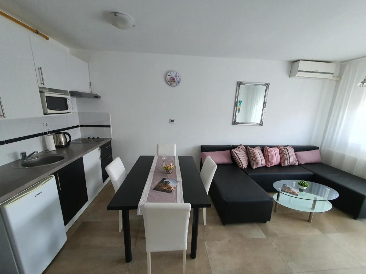 Apartment Vesna Toplice Sveti Martin 스베티 마르틴 나 무리 외부 사진